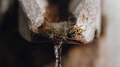 « L’EAU DU ROCHER »