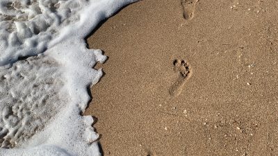 « SUIVRE LES TRACES DU MAÎTRE »