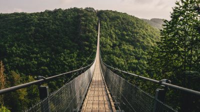 « LE COURAGE EST UN ÉLÉMENT NÉCESSAIRE A LA VIE »